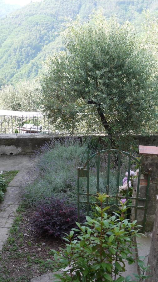 Piscina Con Vista Villa Bagni di Lucca Eksteriør billede